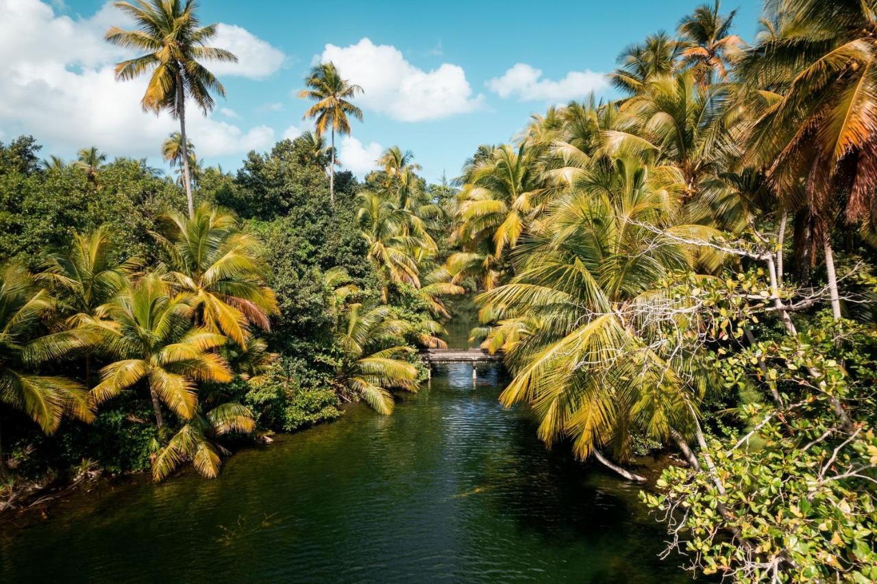 St. Regis Bahia Beach Resort, Puerto Rico Rio Grande Exterior photo